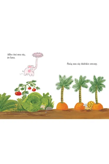 Pomelo �ni - Benjamin Chaud, Ramona B�descu