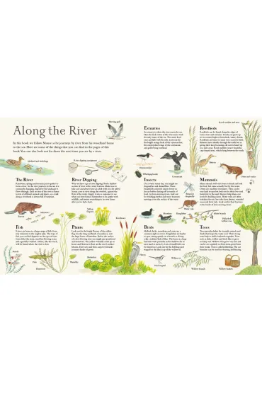 Mouse on the River - Alice Melvin
