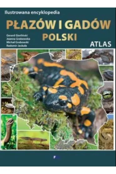 Ilustrowana encyklopedia p�az�w i gad�w polski atlas - Micha� Grabowski, Radomir Jasku�a, Gerard Gierli�ski