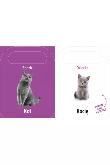 Otw�rz i zobacz! Rodzice i dzieci - Patrycja Klempas