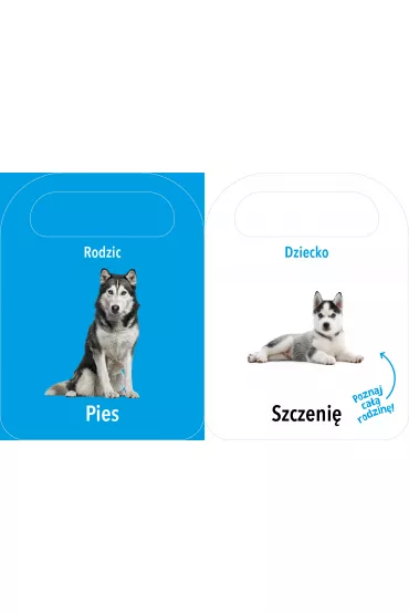 Otw�rz i zobacz! Rodzice i dzieci - Patrycja Klempas