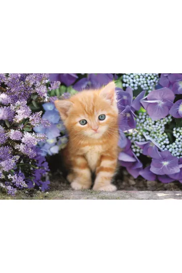 Puzzle 500 el. Gattino Rosso Clementoni