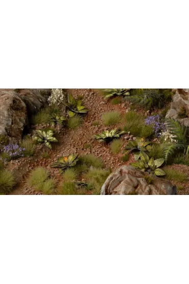 Gamers Grass Laser Plants Dumb Cane