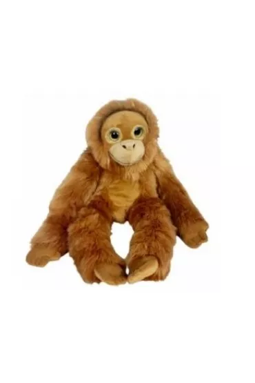 Orangutan big eyes 50cm Dubi