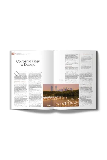 Dubaj i Zjednoczone Emiraty Arabskie (Pascal Gold) - Joanna  Ko�odziejczyk