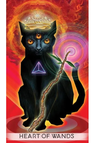 The Unifying Consciousness Tarot, Tarot Jednocz�cej �wiadomo�ci, karty do wr�enia - Lori  Lytle