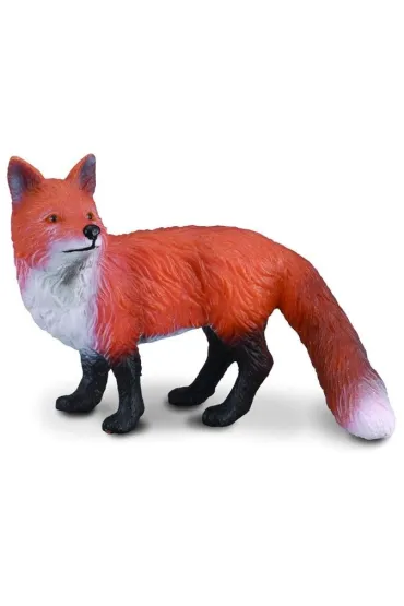 Lis pospolity