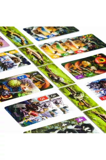 Spr o br Muduko - Reiner Knizia