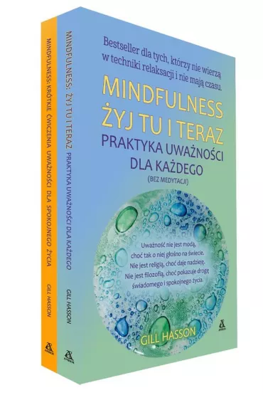 Mindfullnes - Gill Hasson