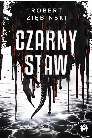 Czarny Staw - Robert Zi�bi�ski