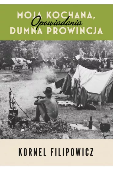 Moja kochana dumna prowincja - Kornel Filipowicz