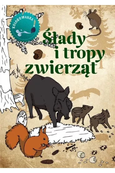 �lady i tropy zwierz�t. Kolorowanka - Katarzyna Kopiec-Sekieta