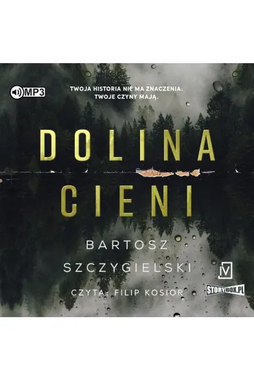 Audiobook CD MP3 Dolina cieni - Bartosz Szczygielski