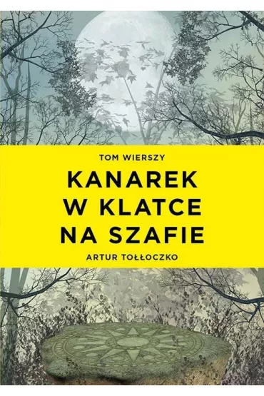 Kanarek w klatce na szafie - Artur To��oczko