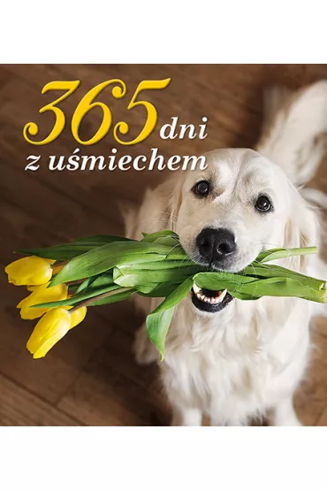 365 dni z u�miechem