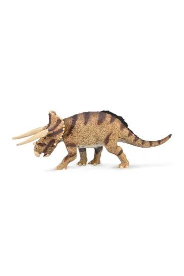 Triceratops Horridus w starciu