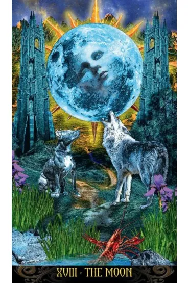 Illuminati Tarot, karty do wr�enia - Kim Huggens