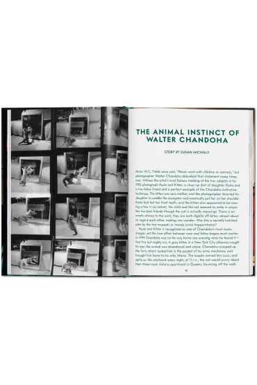Walter Chandoha. Cats. Photographs 1942-2018 wer. angielska - Walter  Chandoha