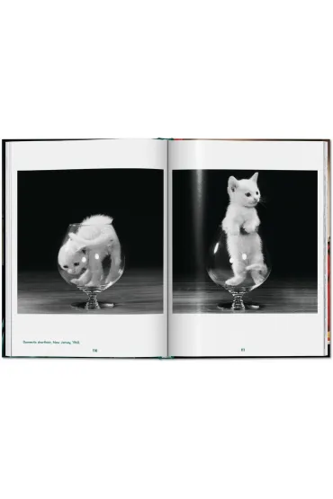 Walter Chandoha. Cats. Photographs 1942-2018 wer. angielska - Walter  Chandoha