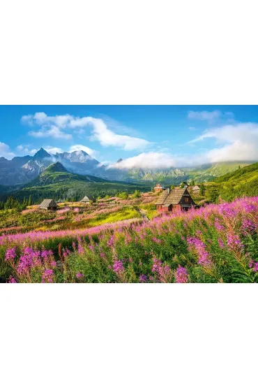 Puzzle 1000 el. Tatry Hala G�sienicowa Castorland