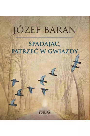 Spadaj�c, patrze� w gwiazdy - J�zef Baran