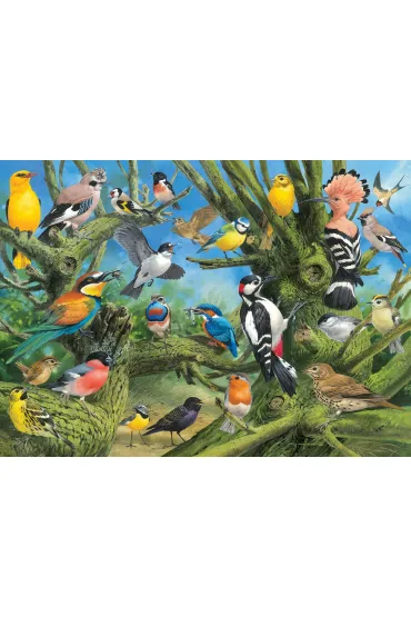 Puzzle 1000 el. Ptaki ogrodowe, Joahn Franc Eurographics