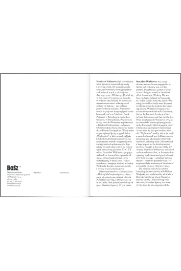 Witkiewicz. Malarstwo - Urszula Kozakowska-Zaucha
