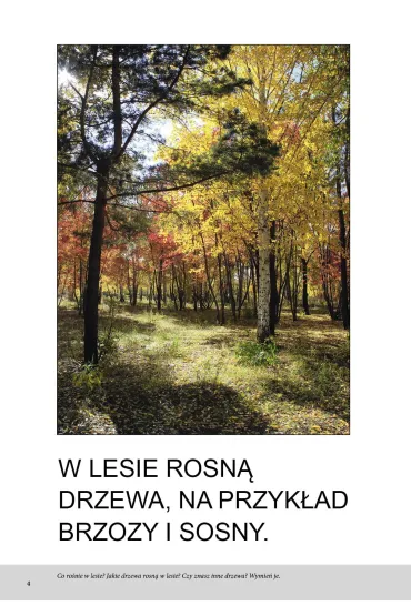 Las. Bardzo proste czytanki dla dzieci