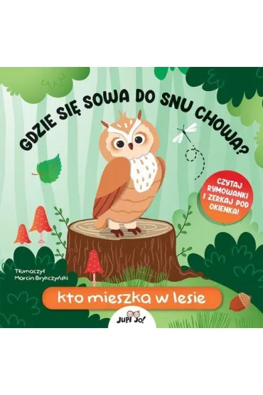 Gdzie si� sowa do snu chowa? Kto mieszka w lesie - Fiona  Huisman