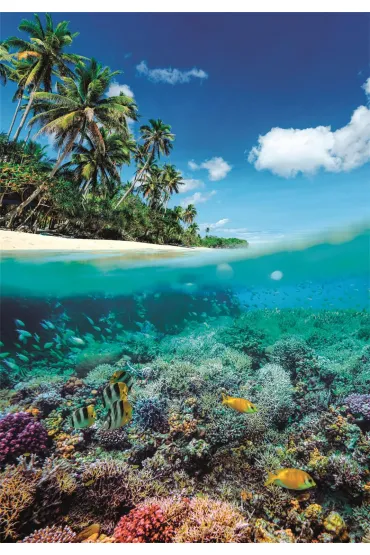 Puzzle 1000 el. Summer Paradise Clementoni