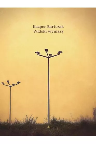 Widoki wymazy - Kacper Bartczak