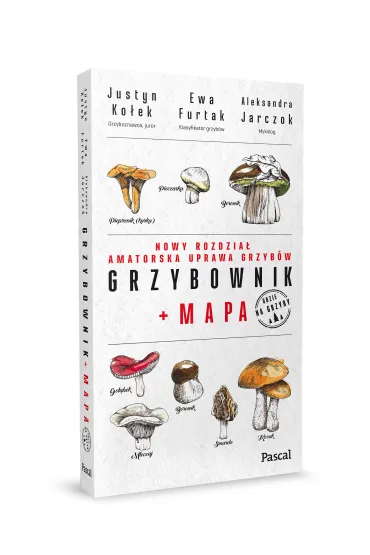 Grzybownik + mapa - Ewa  Furtak, Justyn  Ko�ek, Aleksandra  Jarczok