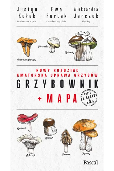 Grzybownik + mapa - Ewa  Furtak, Justyn  Ko�ek, Aleksandra  Jarczok
