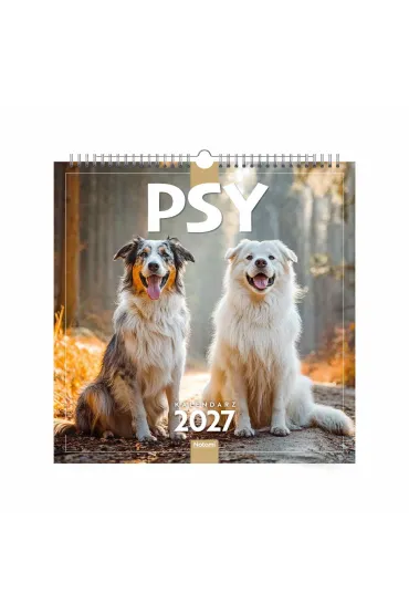 Sezonaa KALENDARZ 6 PLANSZ 33X33 PSY 2027