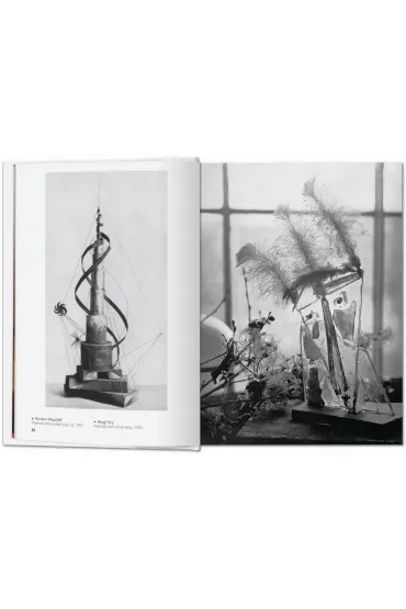 Bauhaus. Updated Edition wer. angielska - Dafaux Marini, Magdalena Droste
