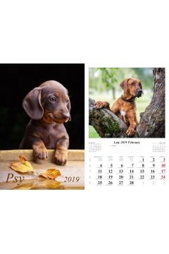 Kalendarz 2019 wieloplanszowy Psy