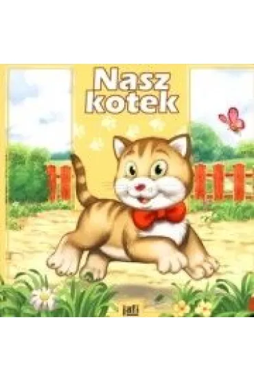 Nasz kotek