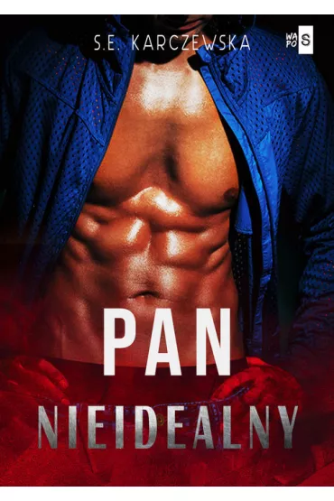 Pan nieidealny - S. E. Karczewska