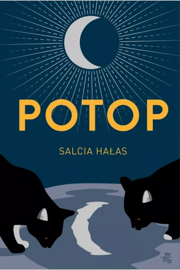 Potop - Salcia Ha�as