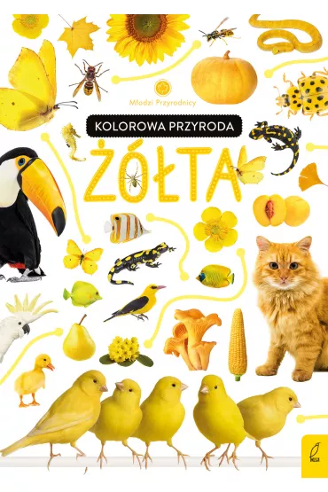 Kolorowa przyroda. ��ta. M�odzi przyrodnicy - Patrycja Zarawska