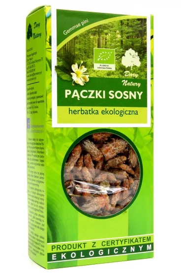 Dary Natury Herbatka p�czki sosny 50 g Bio