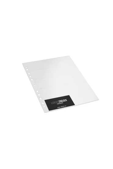 Bantex KOSZULKA NA 20 WIZYT�WEK A4 PP, 100mic.   10SZT