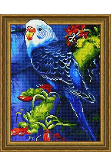 iPicasso Diamentowa mozaika 5D - Papu�ka falista 40x50cm