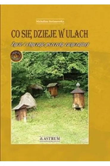 Co si� dzieje w ulach. �ycie i obyczaje pszczo�y zwyczajnej - Michalina Stefanowska