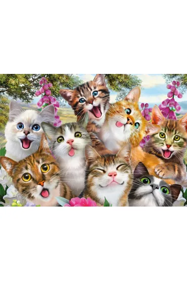 Puzzle 500 el. Koty robi� selfie Schmidt
