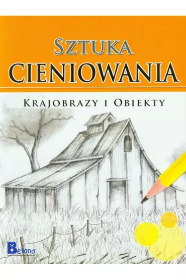Sztuka cieniowania Krajobrazy i obiekty - Diksha Chopra