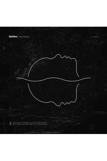 Tsunami Sea (vinyl) Spiritbox | TaniaKsiazka.pl