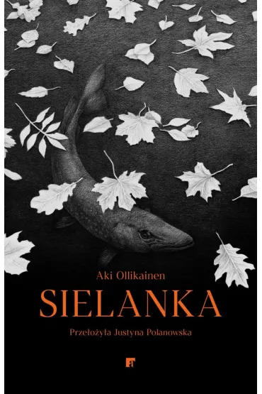 Sielanka - Aki Ollikainen