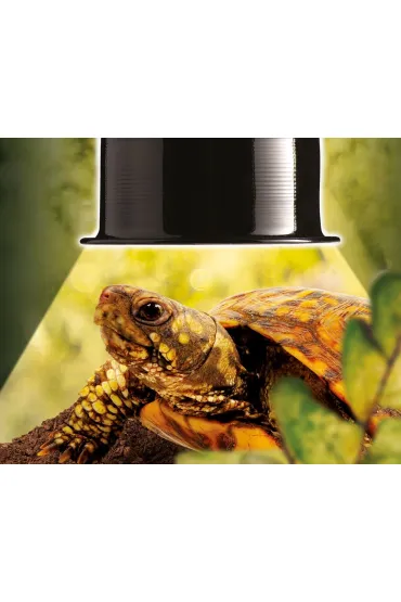 Exo Terra Reflektor aluminiowy Reptile Dome, do 75W, S, 16 x 21, 5 x 15, 5 cm