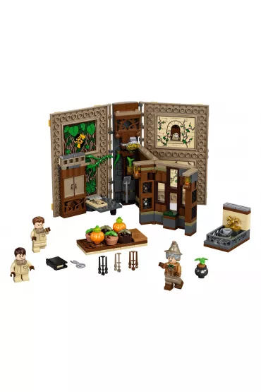 LEGO Harry Potter Chwile z Hogwartu: zajcia z zielarstwa 76384